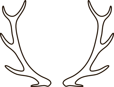 Deer Antlers From Reindeer Coloring Page